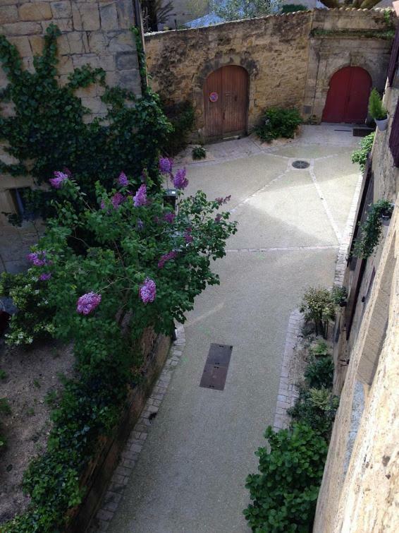 Les Toits De Sarlat Apartment Bagian luar foto